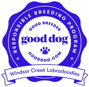 Windsor Creek Labradoodles is a member of Good Dog.