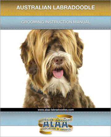 Grooming Tips for Labradoodles