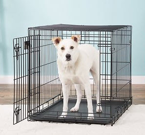 Midwest Life Stages Single Door Collapsible Wire Dog Crate